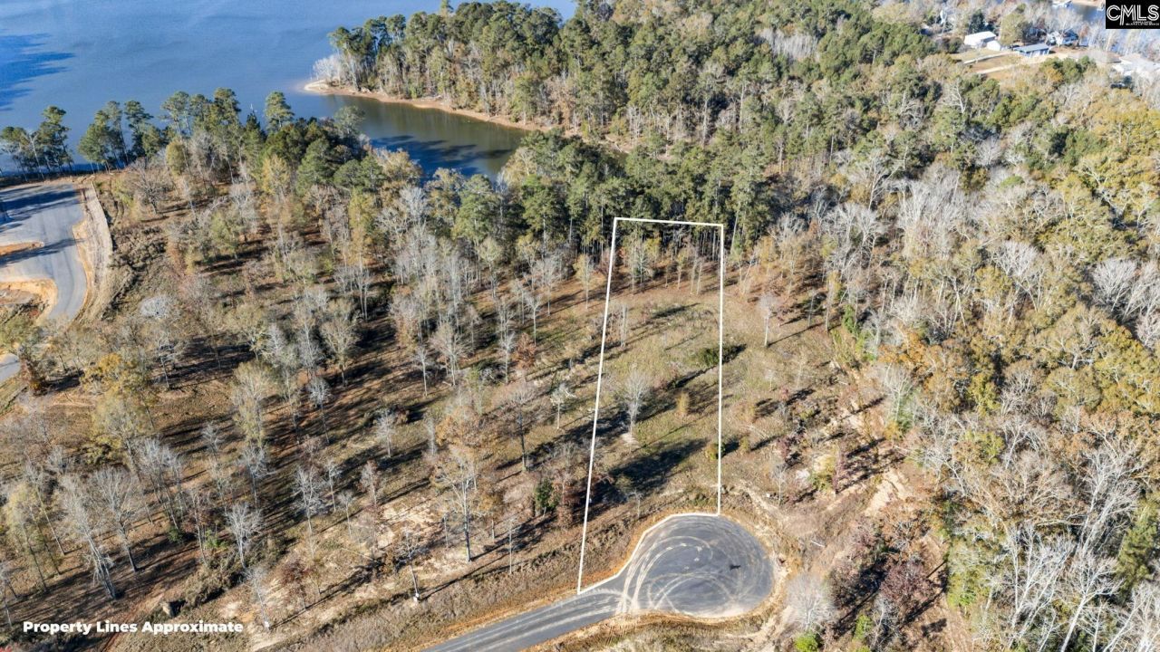 Ferry Phil Court Photo 10