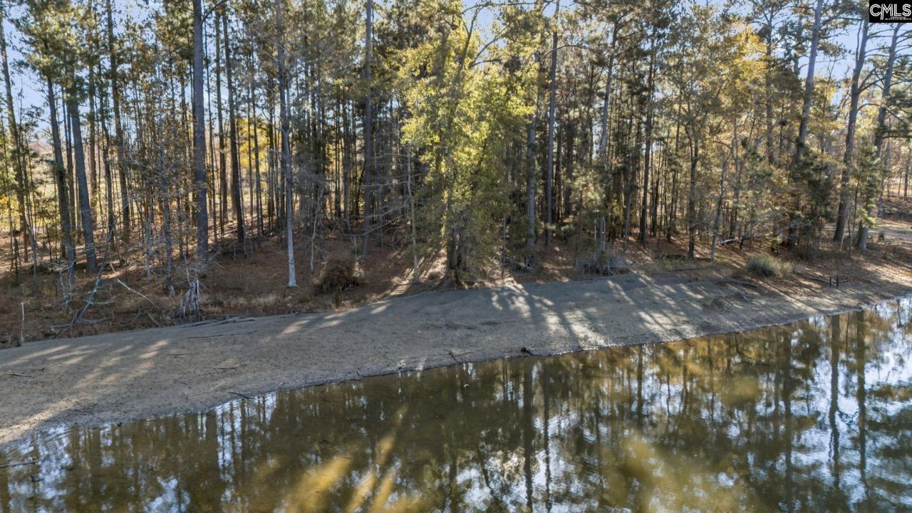 Ferry Phil Court Photo 5