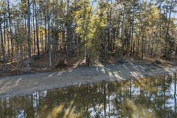 Ferry Phil Court photo 4