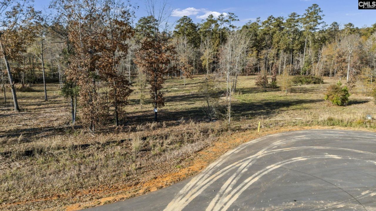 Ferry Phil Court Photo 6