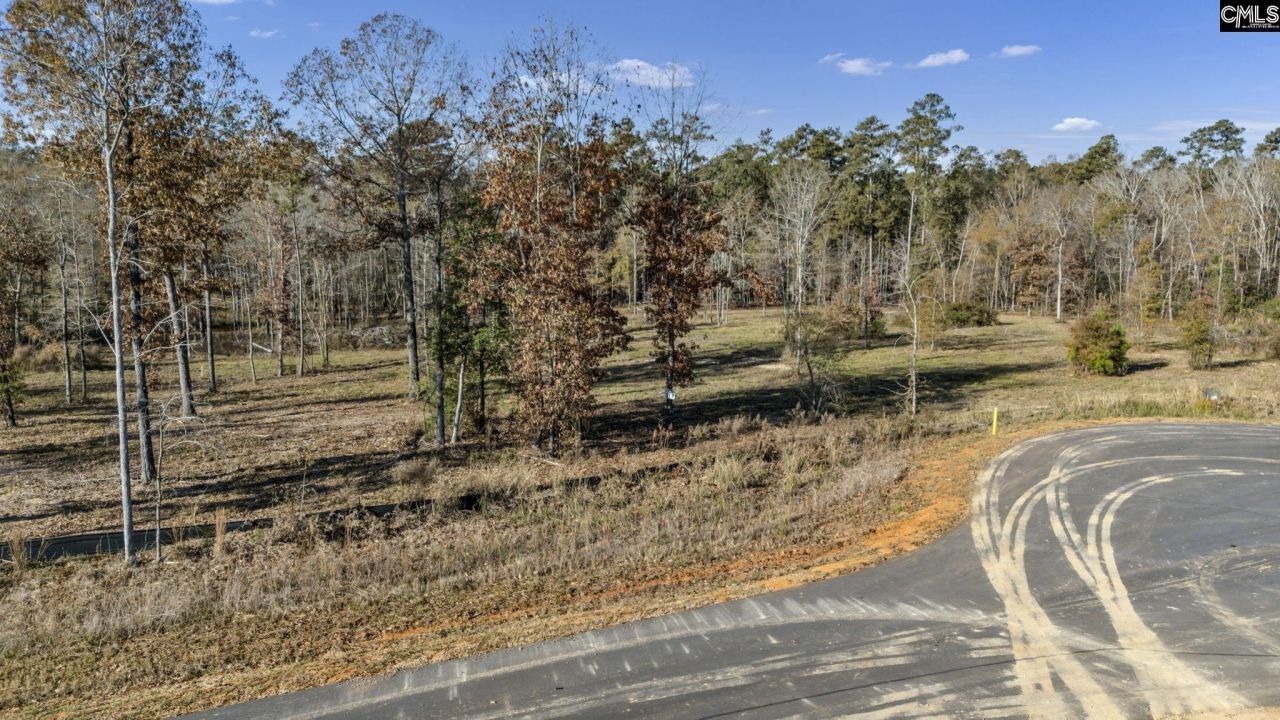 Ferry Phil Court Photo 7