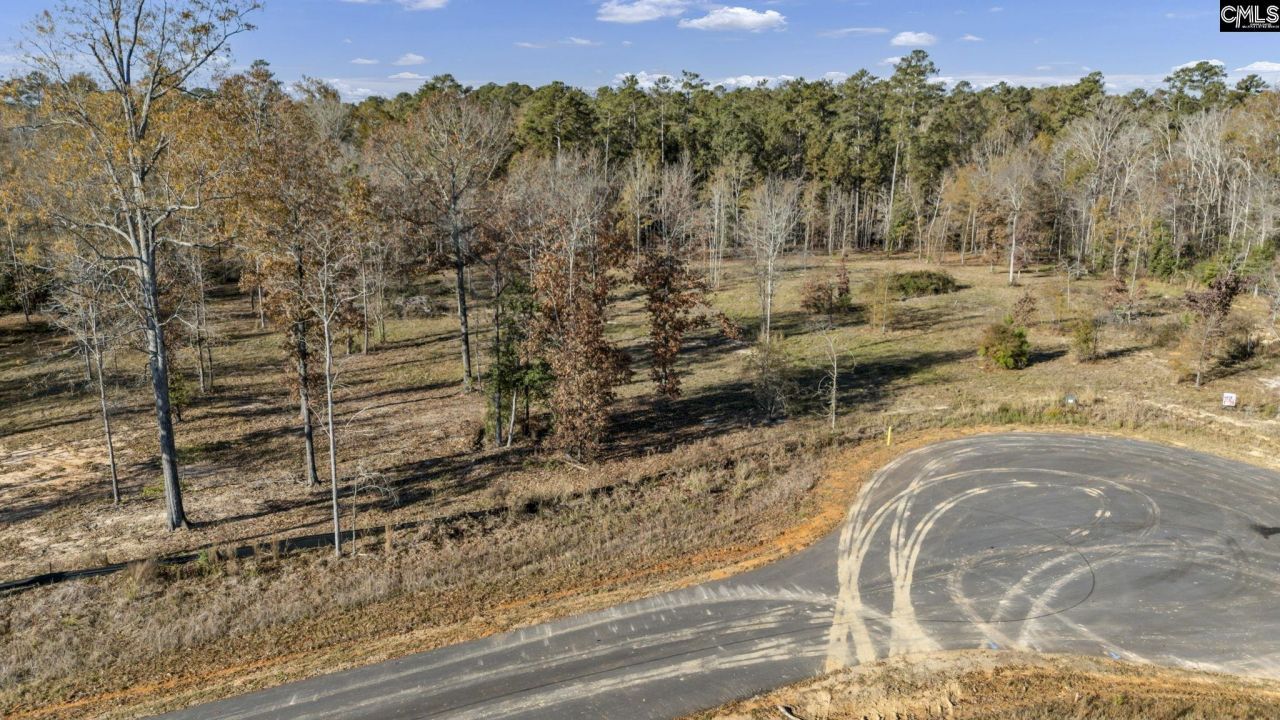 Ferry Phil Court Photo 8