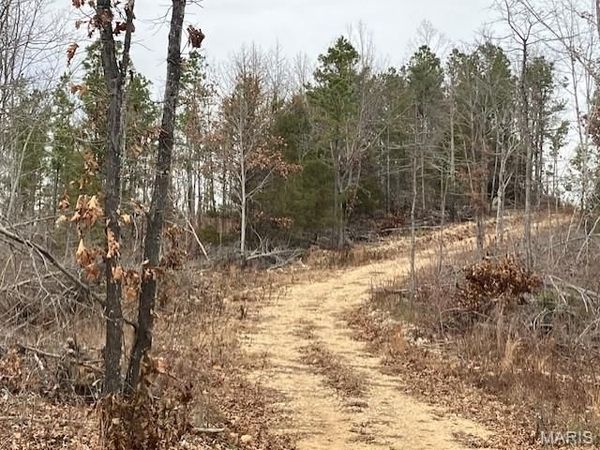 183 Madison CR 410, Fredericktown, MO 63645