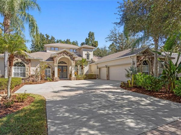 16303 HEATHROW DRIVE, TAMPA, FL 33647