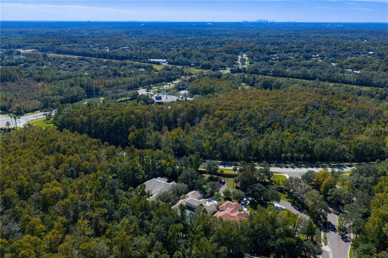 16303 Heathrow Drive, Tampa, FL 33647 Photo