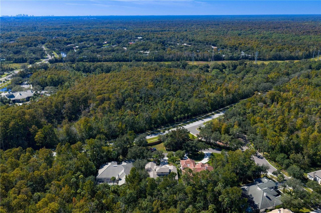 16303 Heathrow Drive, Tampa, FL 33647 Photo