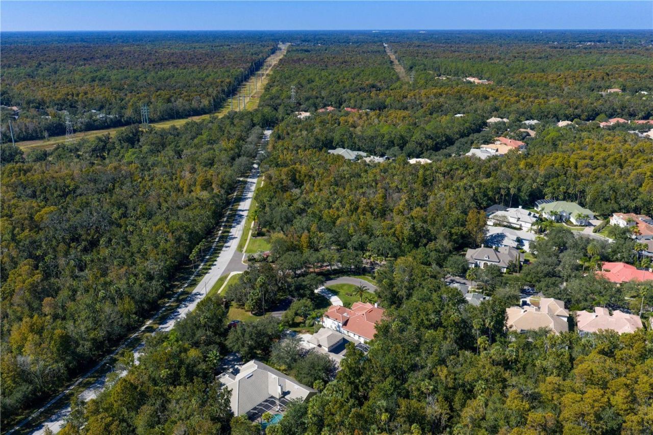 16303 Heathrow Drive, Tampa, FL 33647 Photo