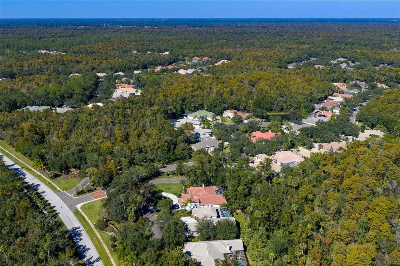 16303 Heathrow Drive, Tampa, FL 33647 Photo