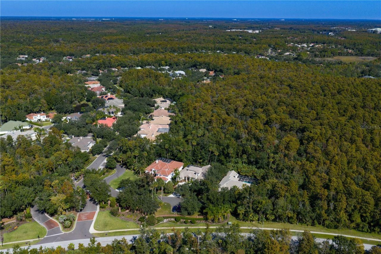 16303 Heathrow Drive, Tampa, FL 33647 Photo