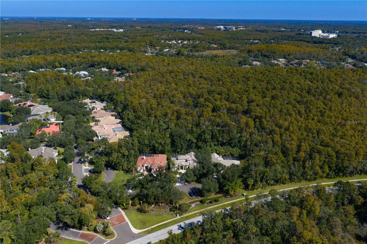 16303 Heathrow Drive, Tampa, FL 33647 Photo