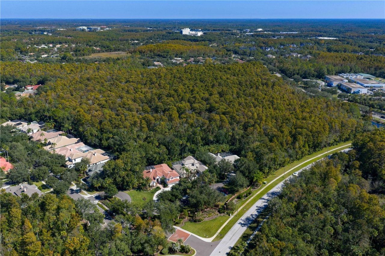 16303 Heathrow Drive, Tampa, FL 33647 Photo