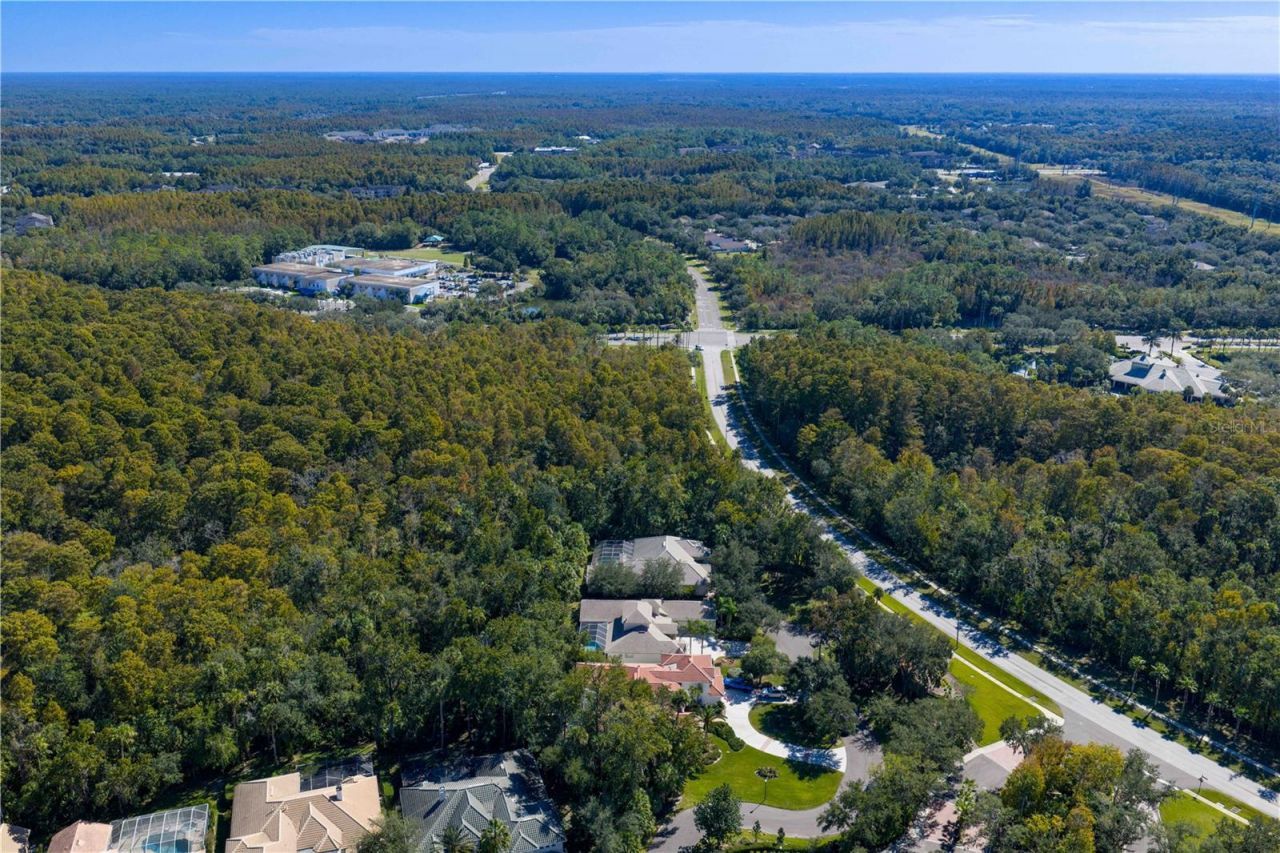 16303 Heathrow Drive, Tampa, FL 33647 Photo