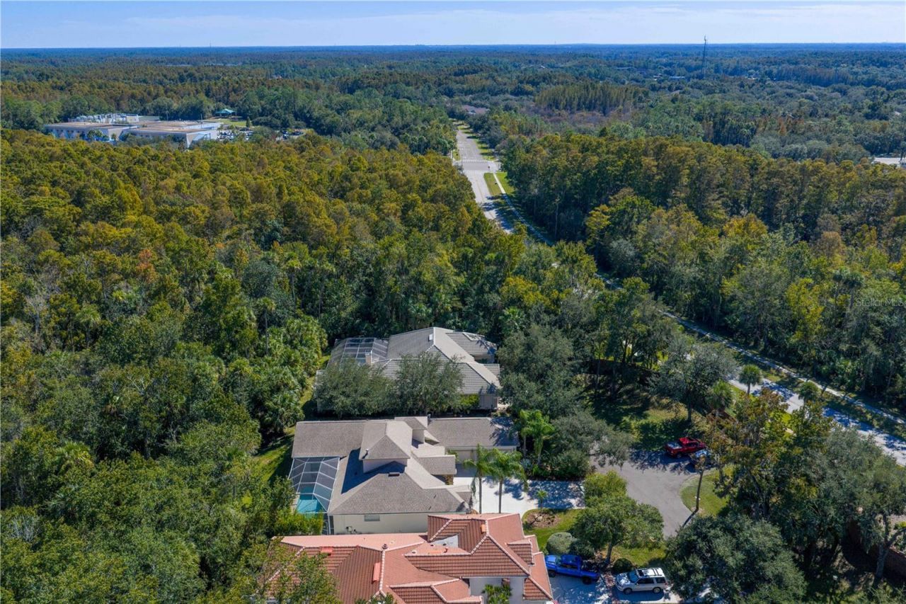 16303 Heathrow Drive, Tampa, FL 33647 Photo