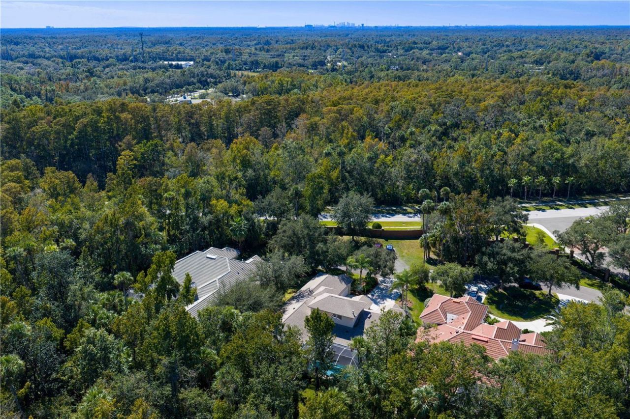 16303 Heathrow Drive, Tampa, FL 33647 Photo