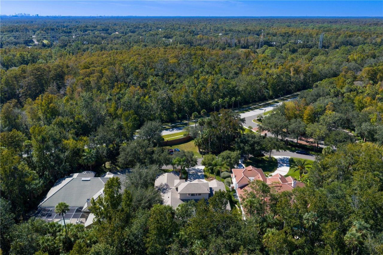 16303 Heathrow Drive, Tampa, FL 33647 Photo