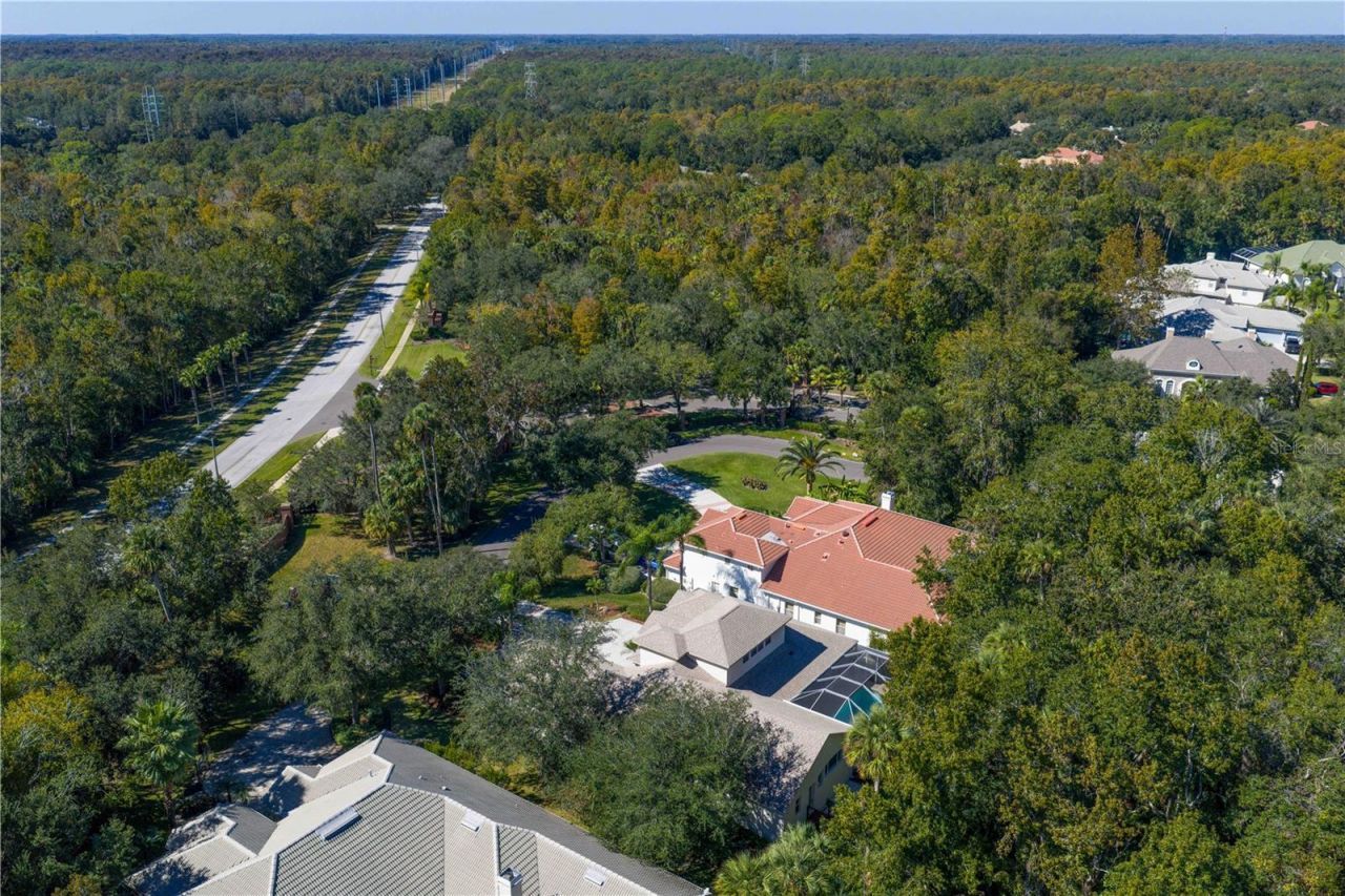 16303 Heathrow Drive, Tampa, FL 33647 Photo