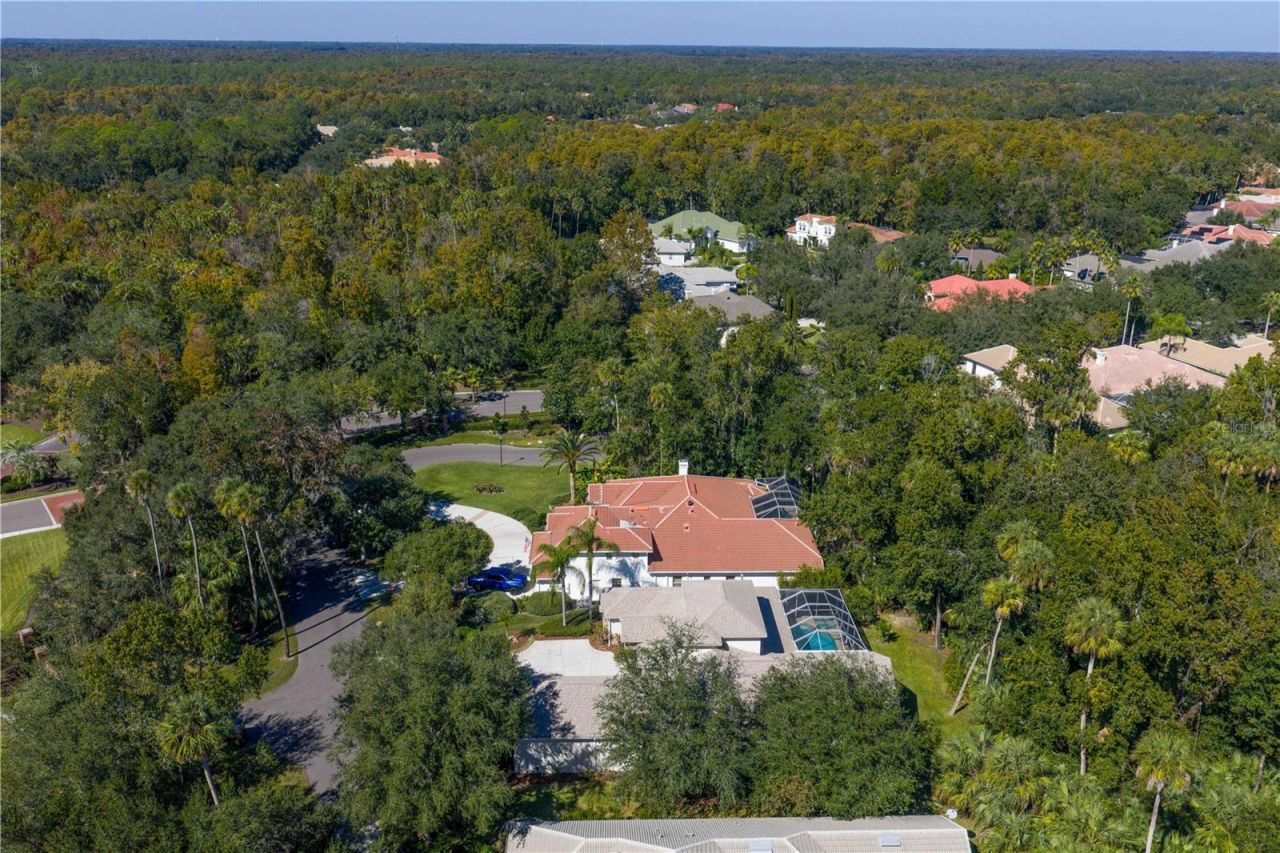 16303 Heathrow Drive, Tampa, FL 33647 Photo