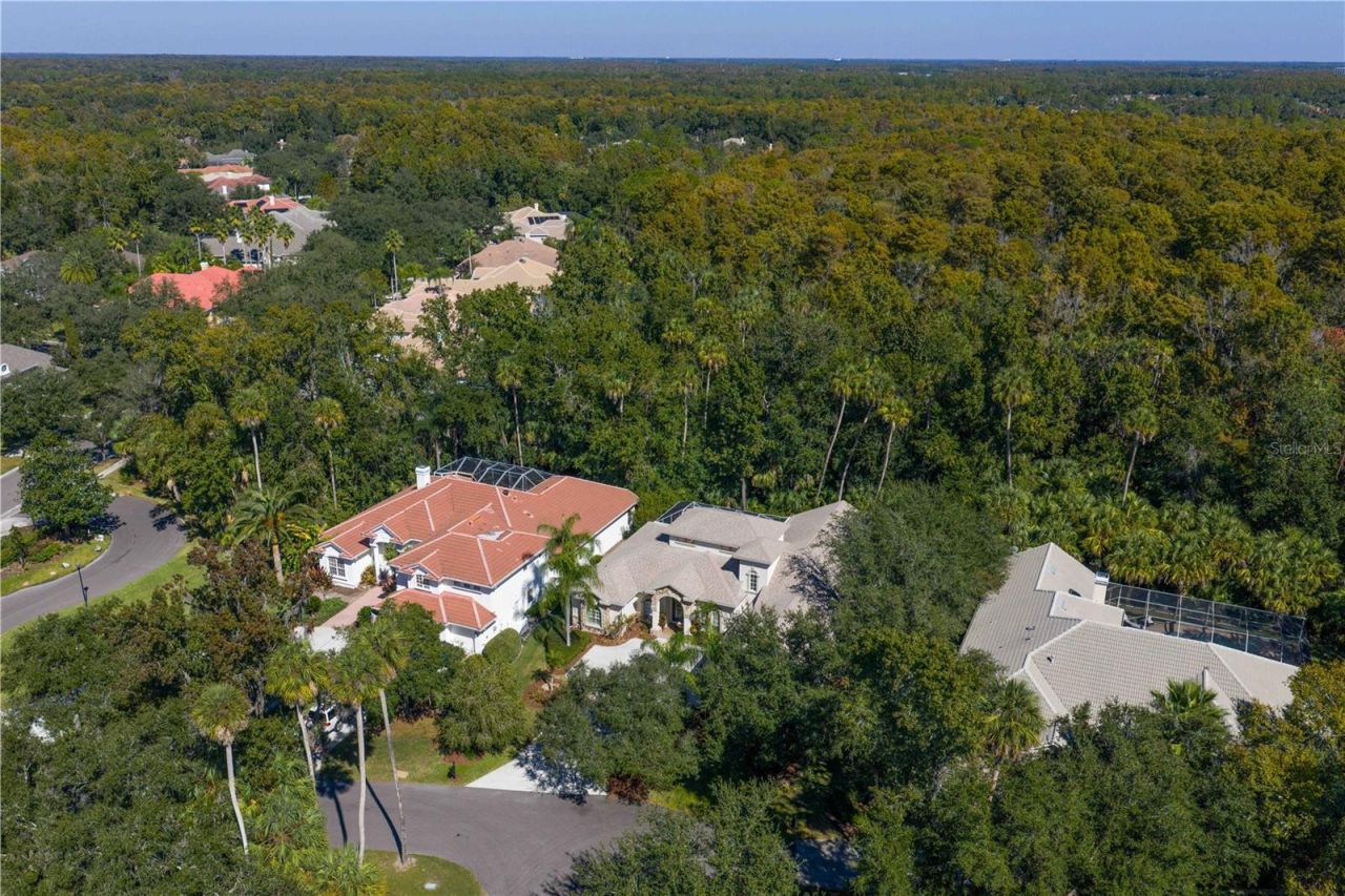 16303 Heathrow Drive, Tampa, FL 33647 Photo