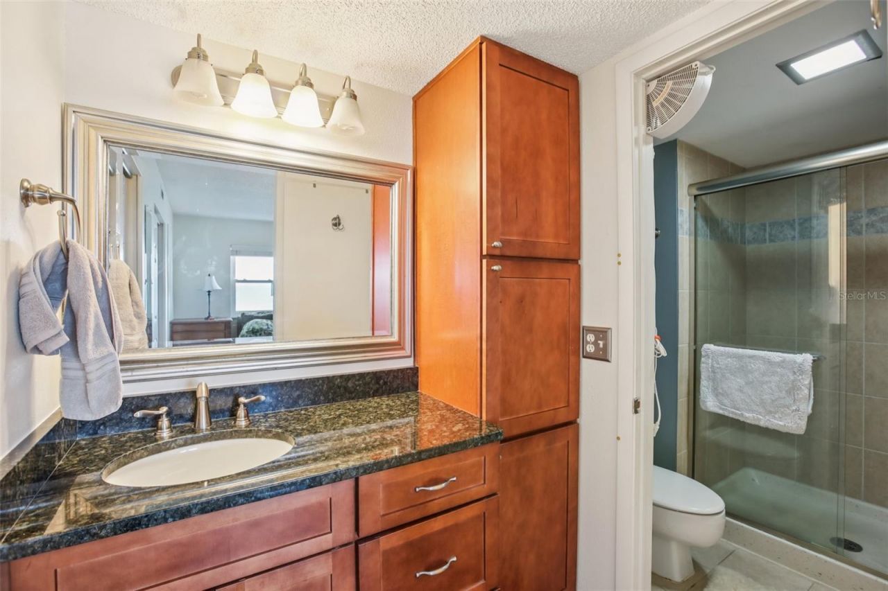 9 Haig Place, Unit 704, Dunedin, FL 34698 Photo