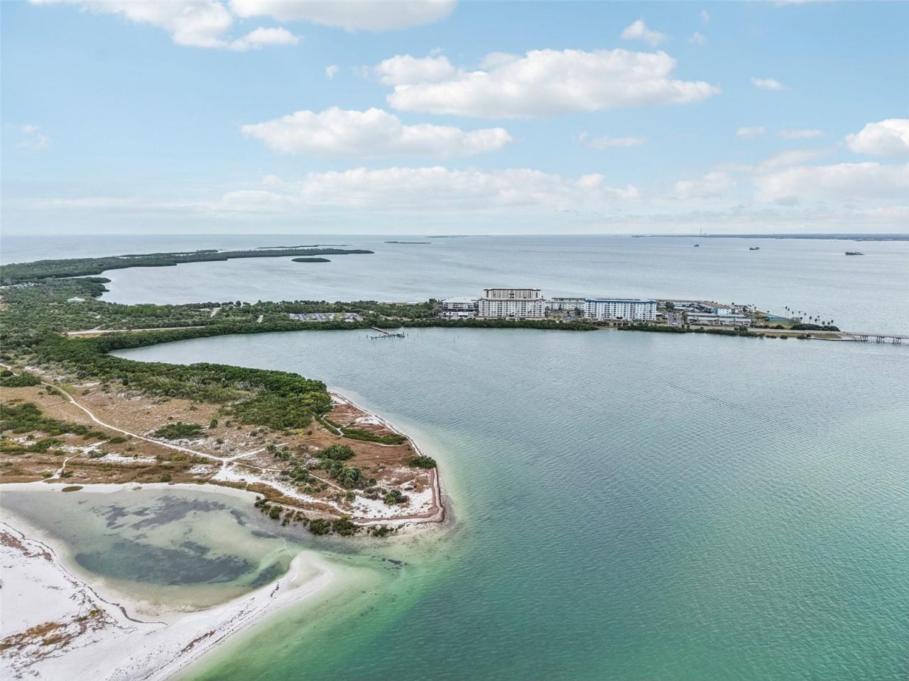 9 Haig Place, Unit 704, Dunedin, FL 34698 Photo