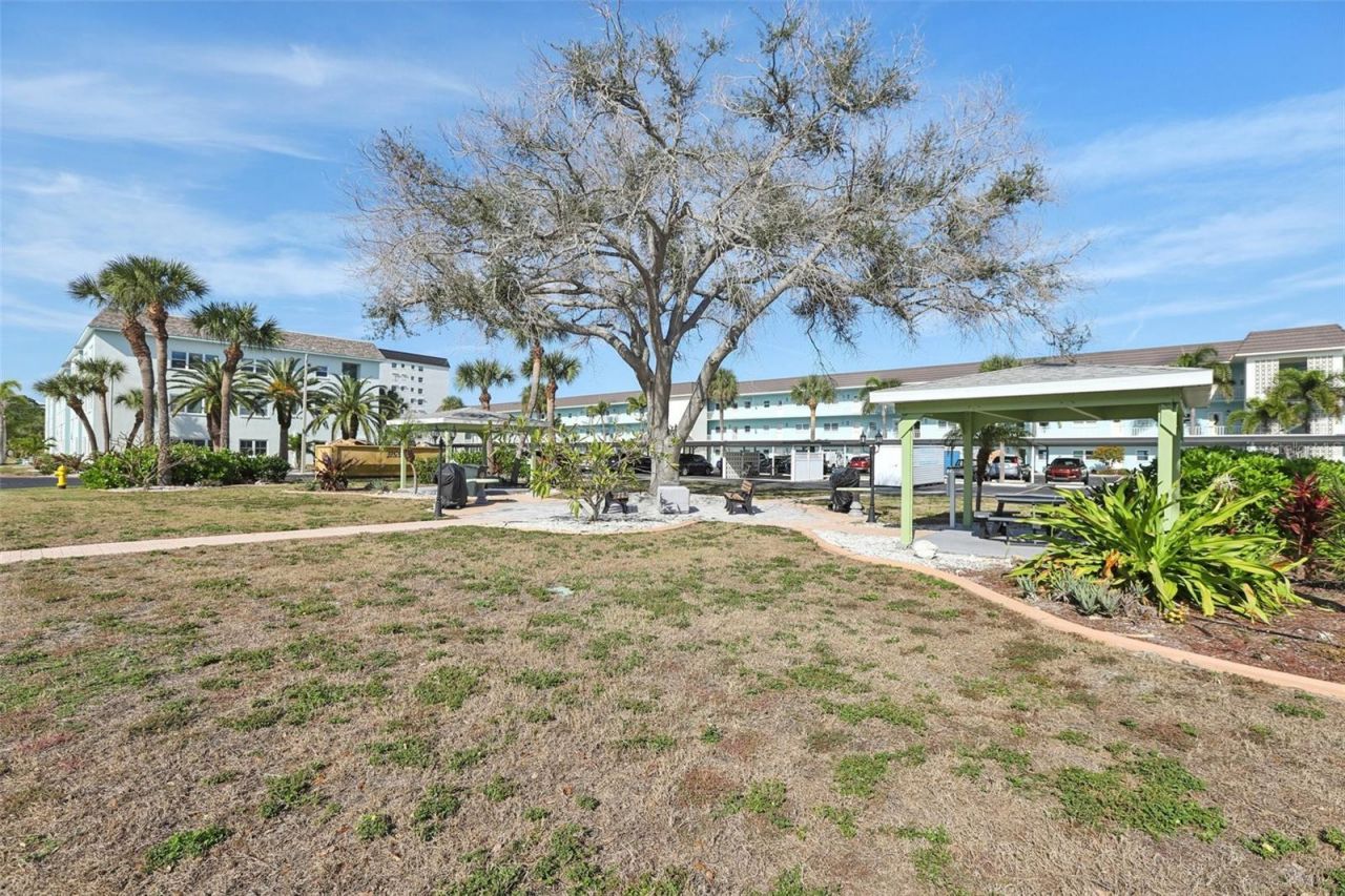 9 Haig Place, Unit 704, Dunedin, FL 34698 Photo