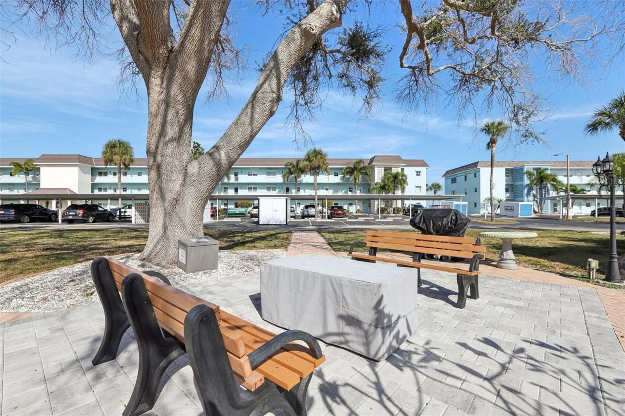 9 Haig Place, Unit 704, Dunedin, FL 34698 Photo