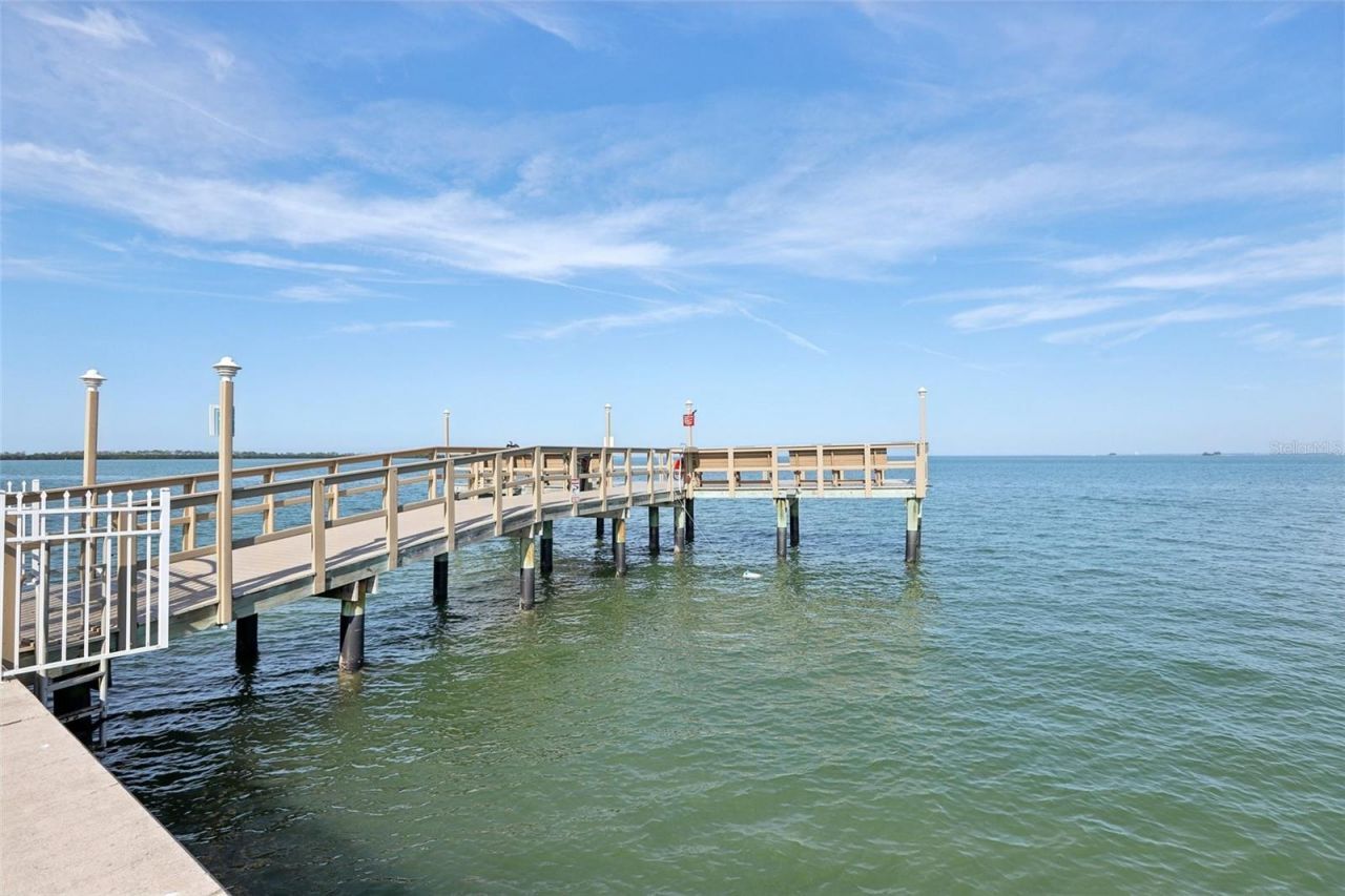 9 Haig Place, Unit 704, Dunedin, FL 34698 Photo