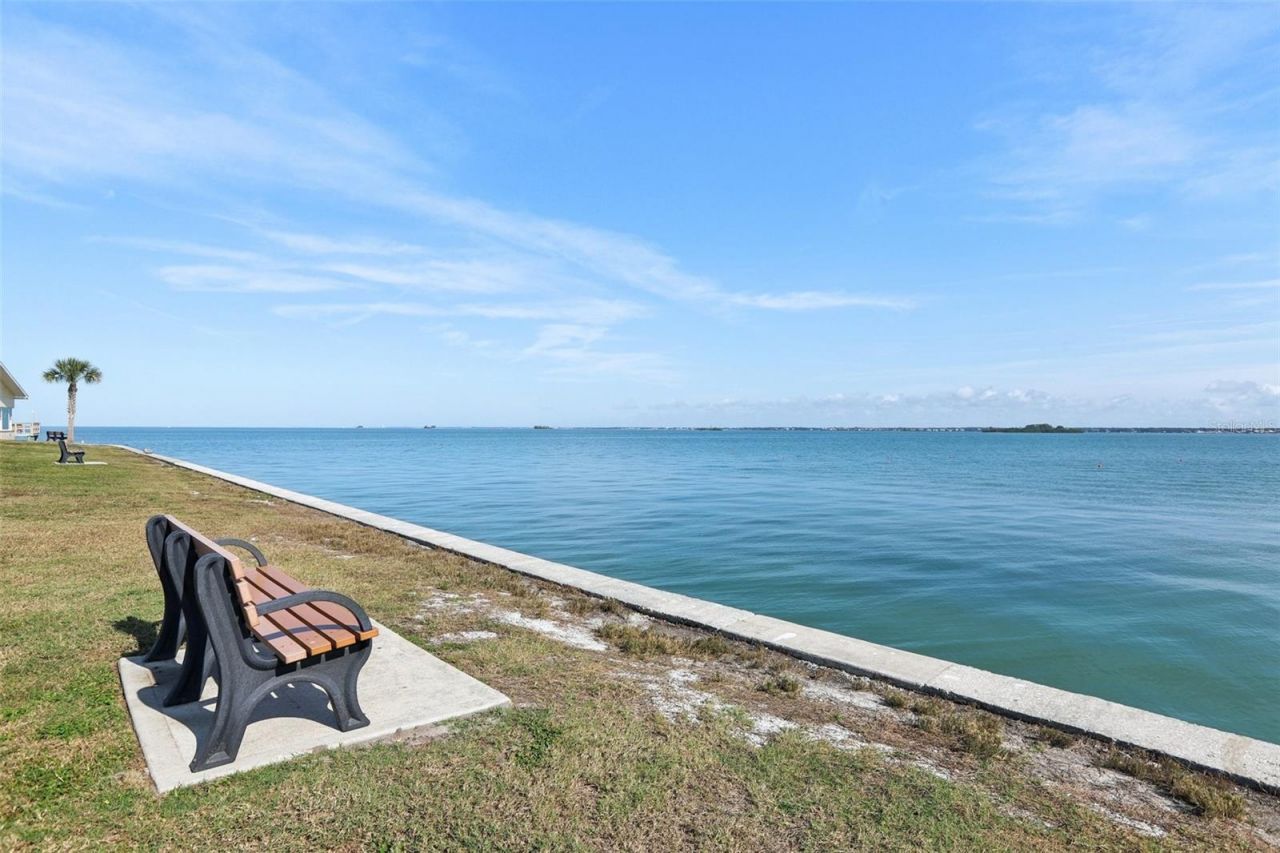 9 Haig Place, Unit 704, Dunedin, FL 34698 Photo