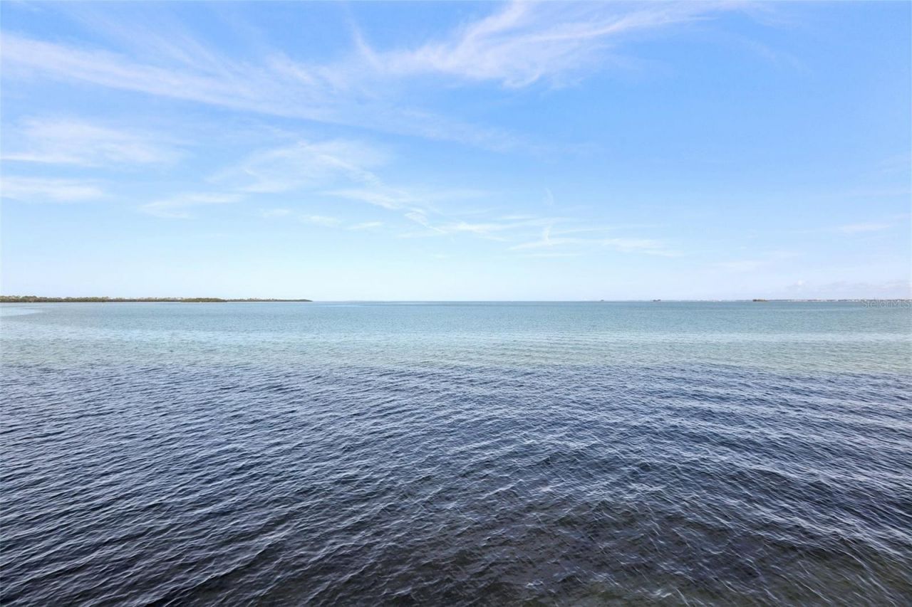 9 Haig Place, Unit 704, Dunedin, FL 34698 Photo