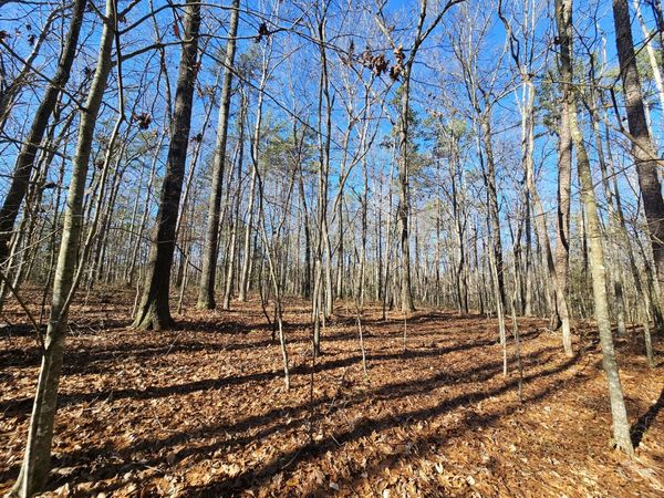 3 Woodfern Ln , Coalmont, TN 37313