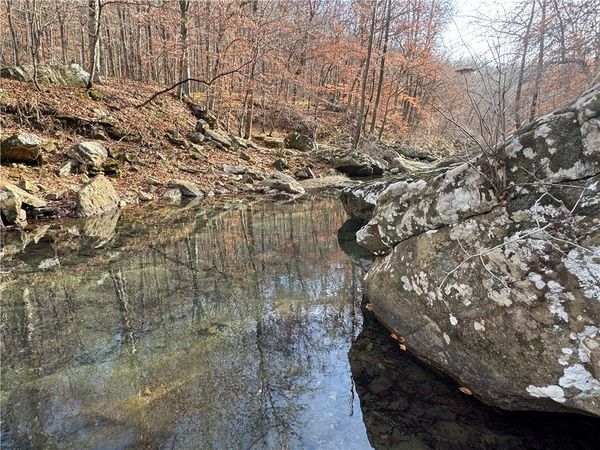 3702 NC 8440, Parthenon, AR 72666