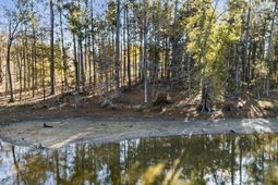 Ferry Phil Court photo 4