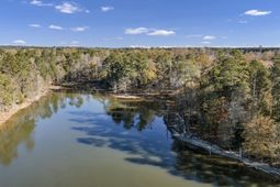 Ferry Phil Court photo 4