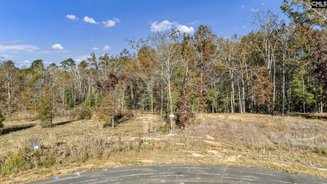 Ferry Phil Court Photo 6