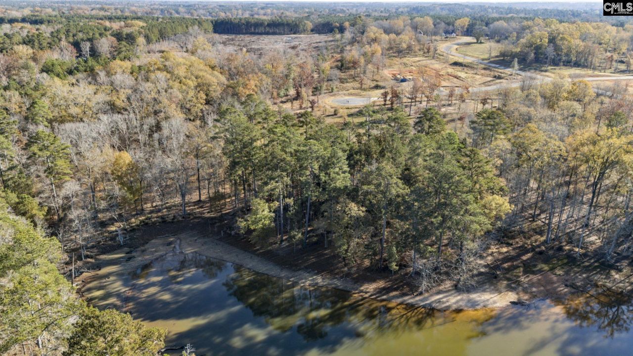 Ferry Phil Court Photo 7