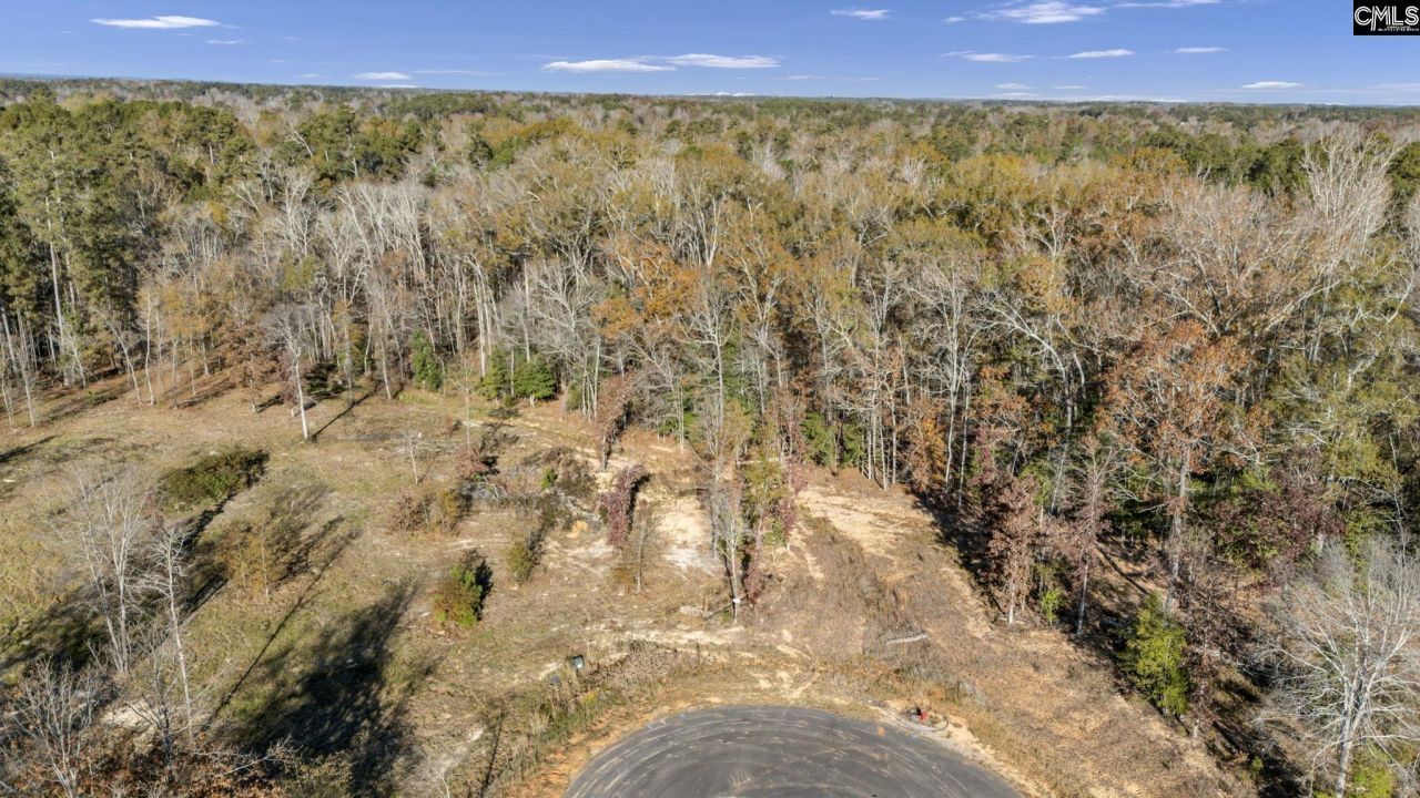 Ferry Phil Court Photo 8