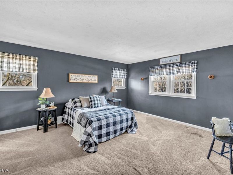 5948 S Ridge Road W, Geneva, OH 44041 Photo 34