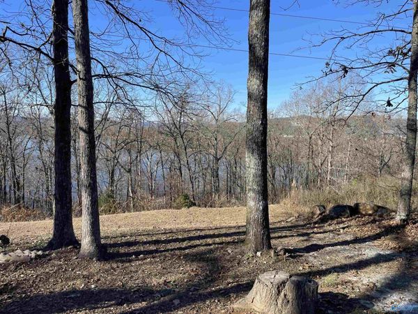 1.12 acres Savory Drive, Scottsboro, AL 35769