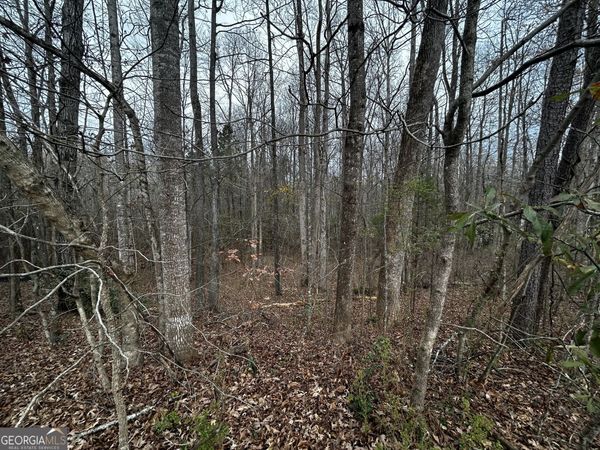133 Four Oaks Drive, Griffin, GA 30224
