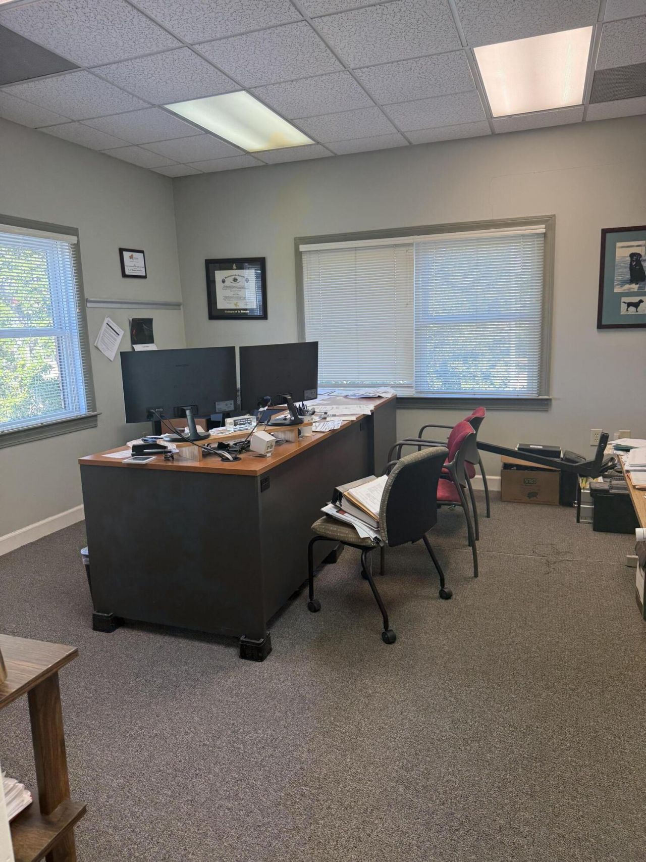 3691 Paramount Drive Photo 15