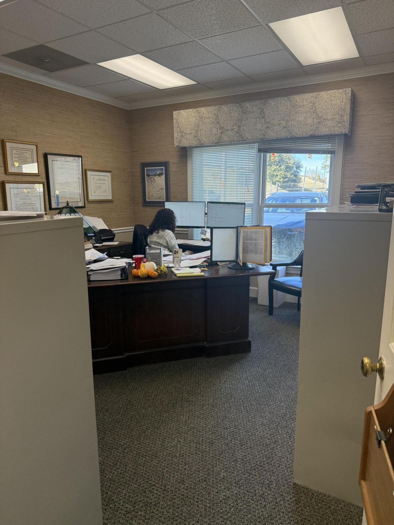 3691 Paramount Drive Photo 7