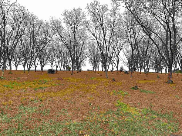 LOT 2 La Hwy 68, Jackson, LA 70748