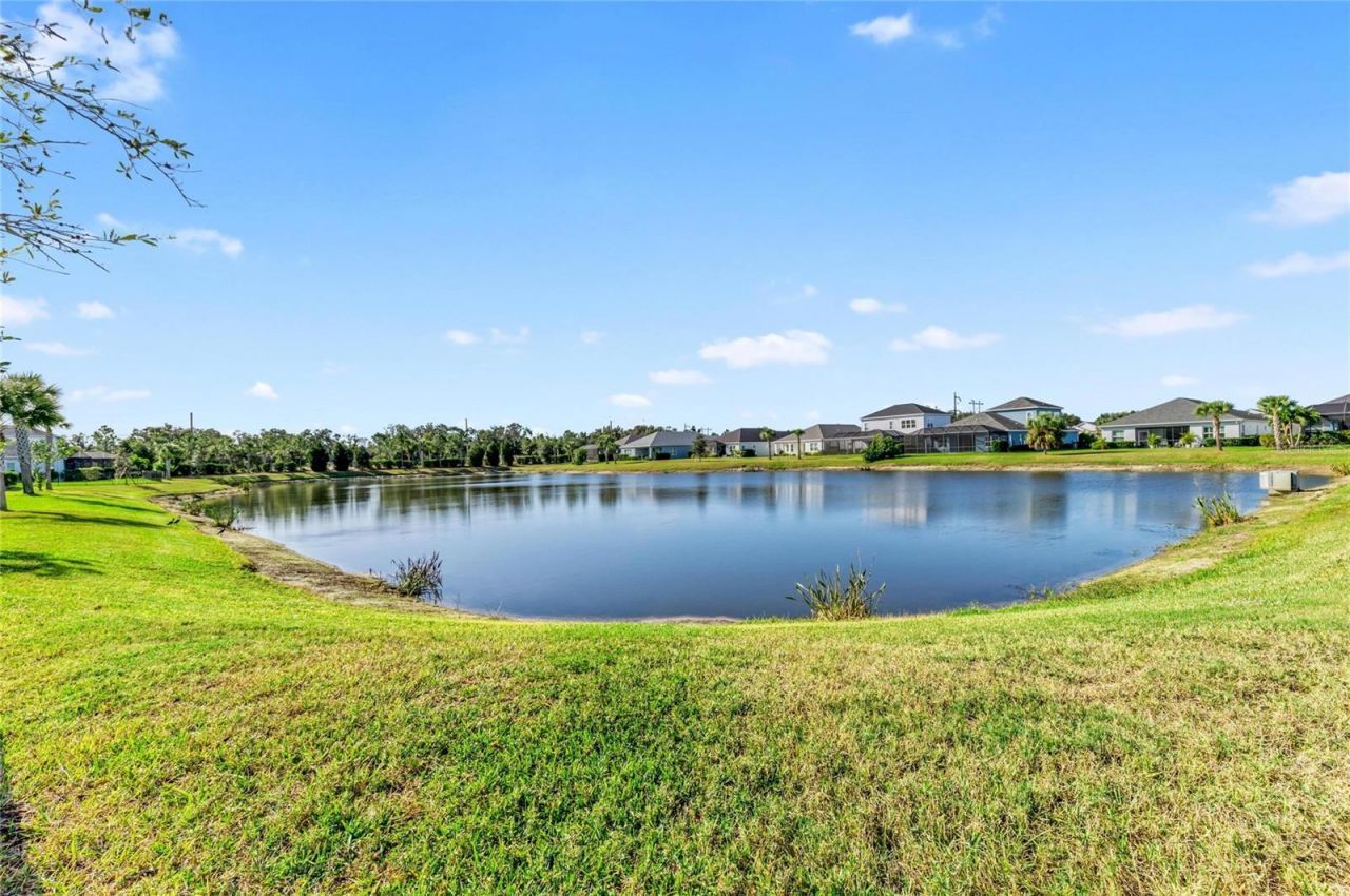 3417 Box Turtle Terrace, Parrish, FL 34219 Photo