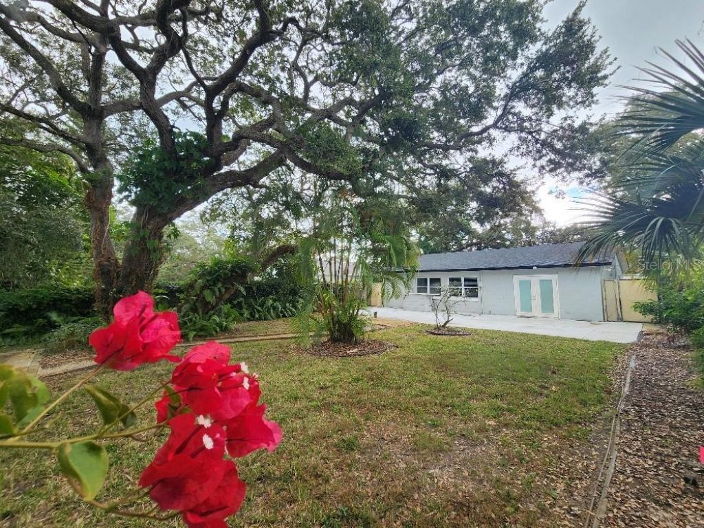 798 E 11th Avenue, New Smyrna Beach, FL 32169 Photo
