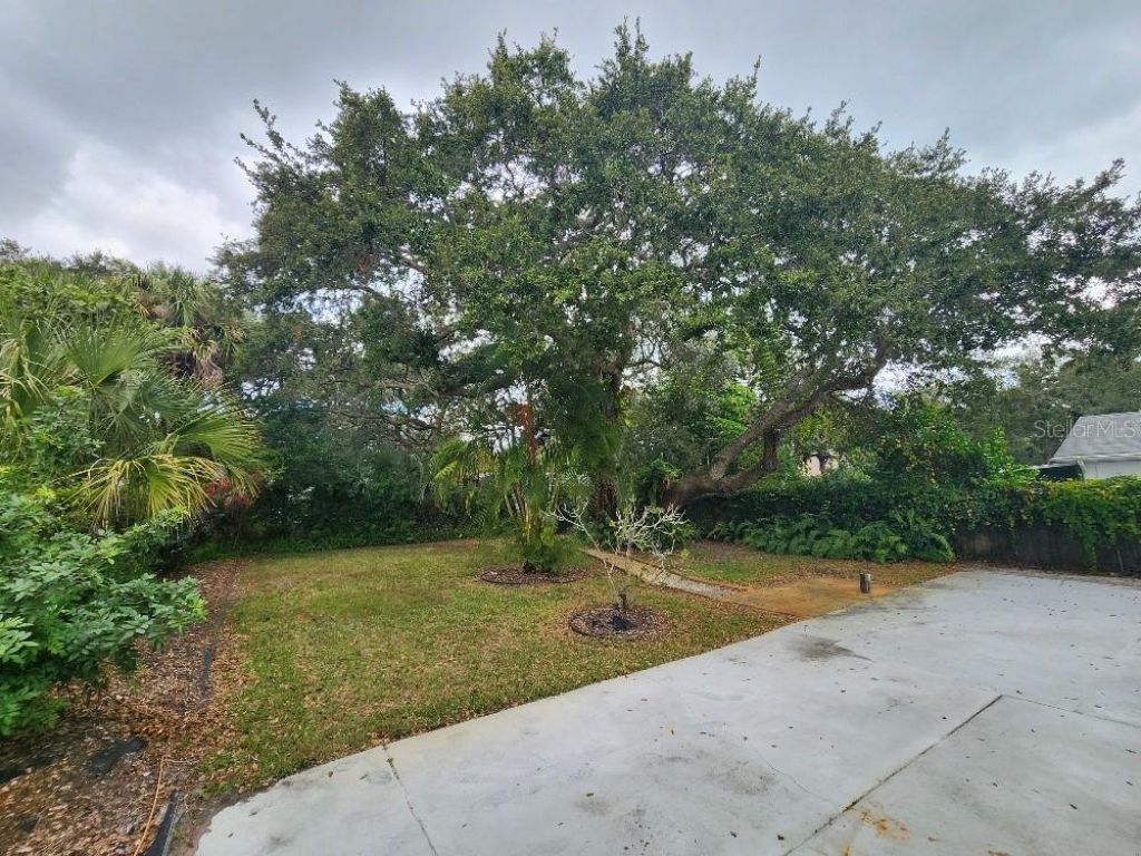 798 E 11th Avenue, New Smyrna Beach, FL 32169 Photo
