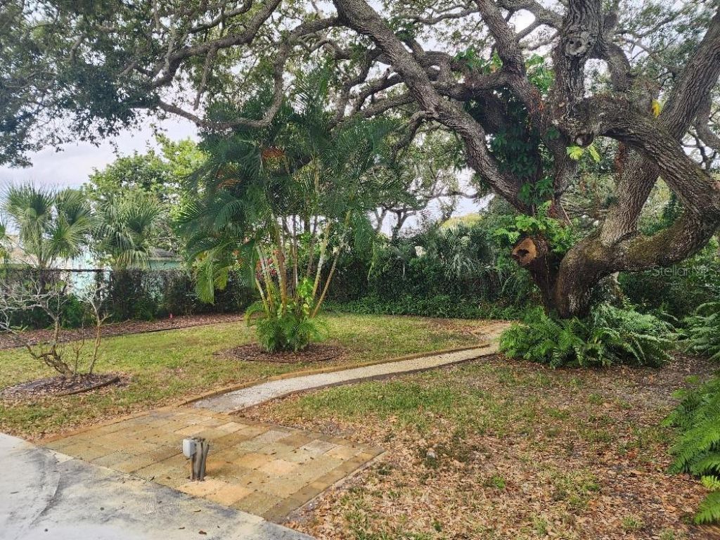 798 E 11th Avenue, New Smyrna Beach, FL 32169 Photo