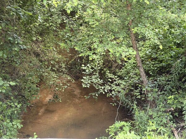8 ROSE CREEK RD, Selmer, TN 38375
