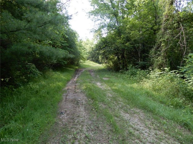 Township Rd 202, Crooksville, OH 43730 Photo 7