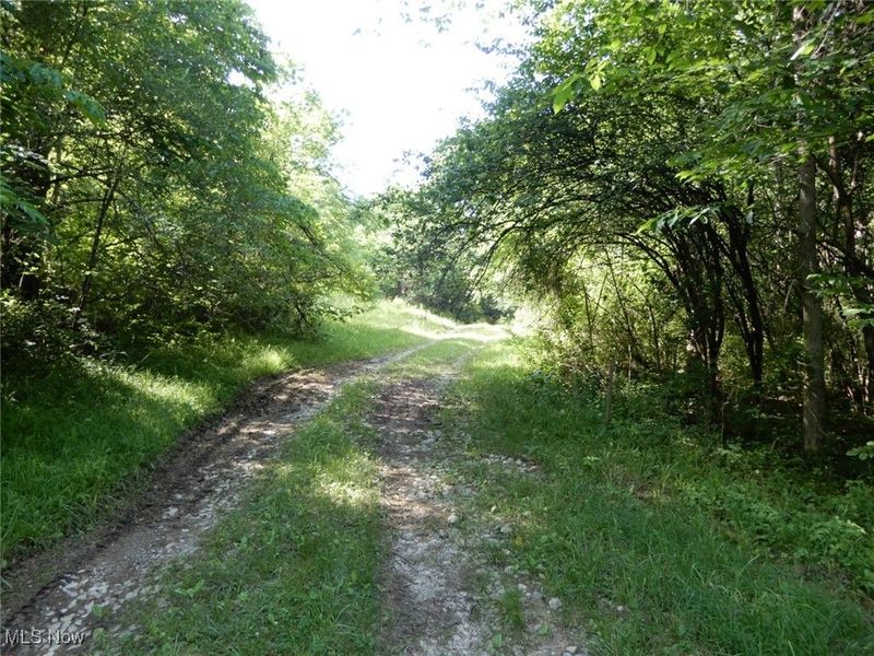 Township Rd 202, Crooksville, OH 43730 Photo 8