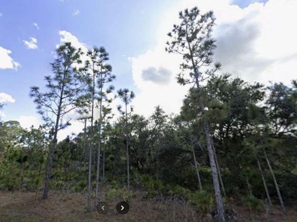 703 GARDENIA DRIVE, INDIAN LAKE ESTATES, FL 33855